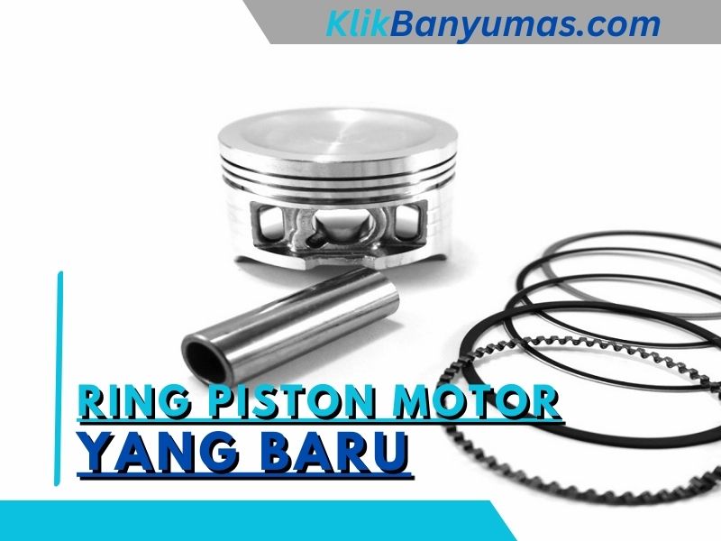 Ring Piston Motor