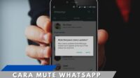Cara Mute WhatsApp Status