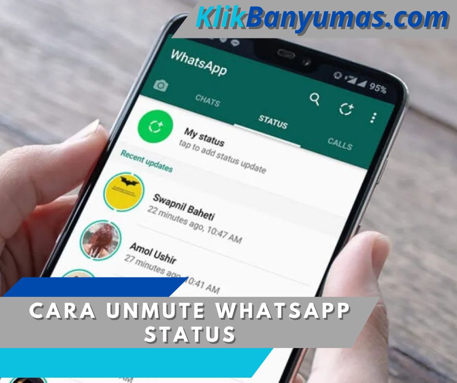 Cara Unmute WhatsApp Status